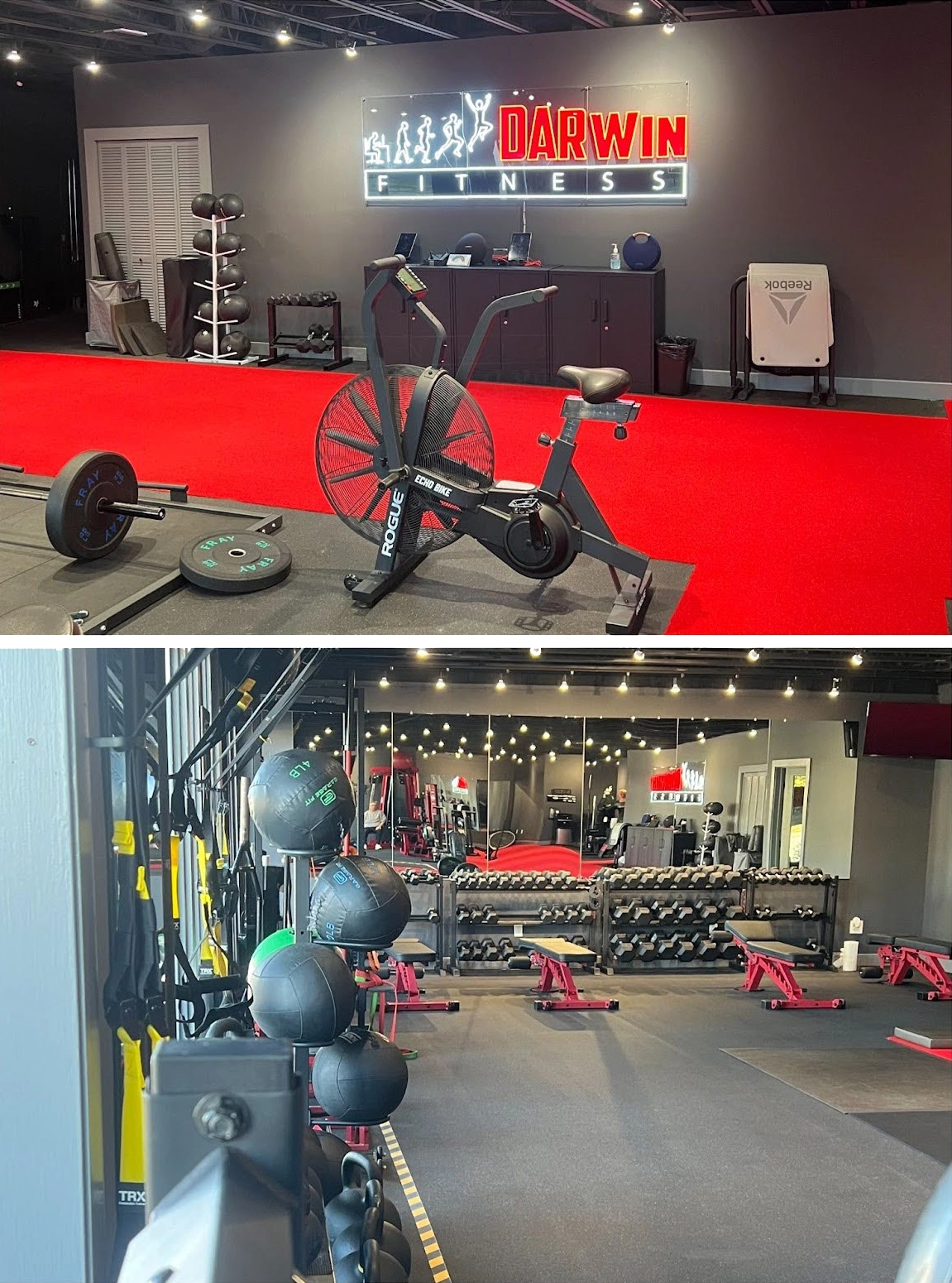 best personal trainers winter park fl